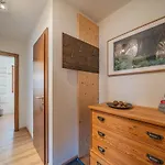 Hohe Tauern * 米特西尔